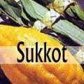 Sukkot