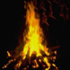 Lag B'omer